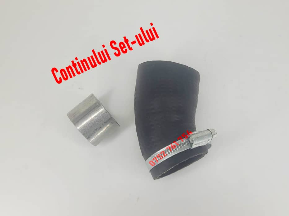 Furtun Clapeta Renault Megane 3 2.0 DCI